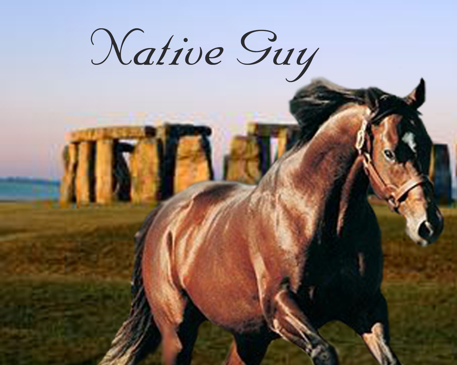 native.jpg