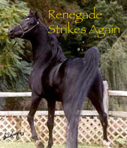 renegade.jpg